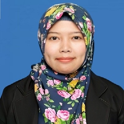 Penulis Member