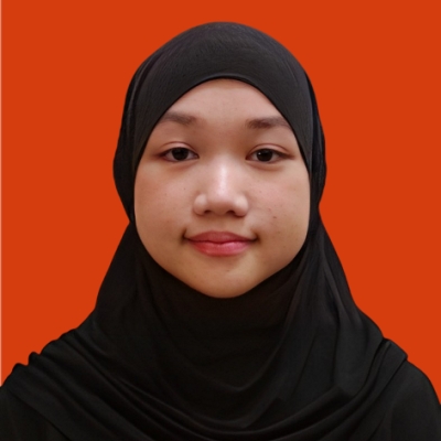 Penulis Member